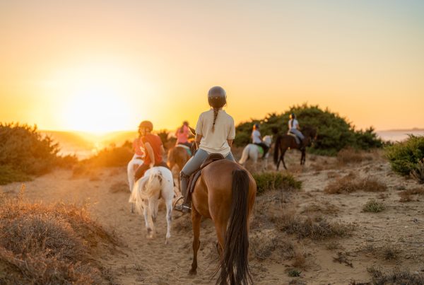 Group of teens riding horseback as experiential therapy