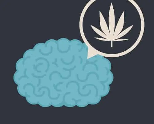 Effects of Marijuana on the Teen Brain