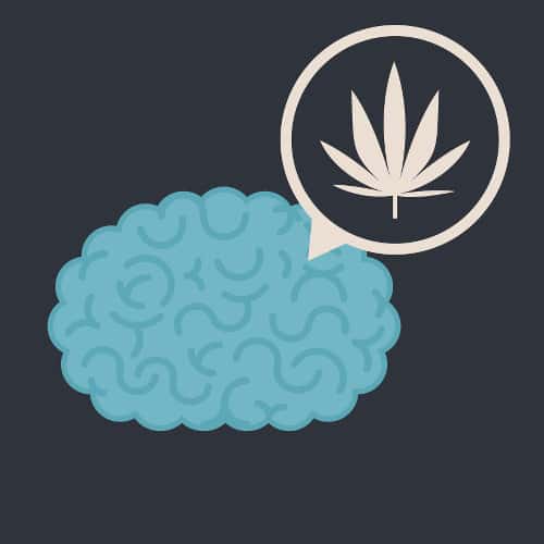 Effects of Marijuana on the Teen Brain