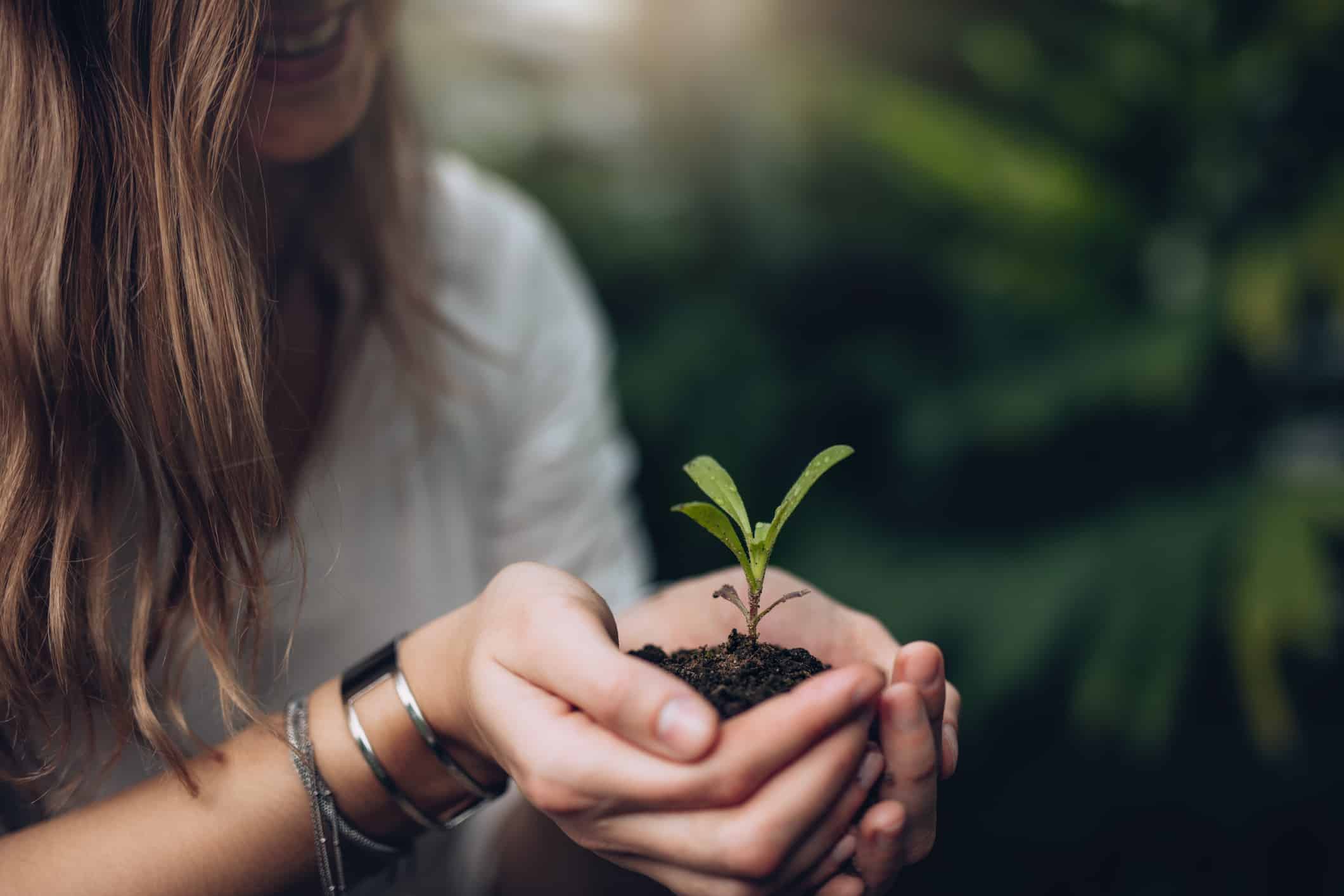 Nature Vs Nurture And Teenage Brain Development Visions